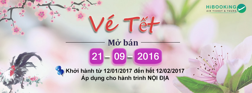 ve may bay tet 2017