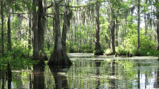 bayou-du-lich-houston